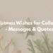 Christmas Wishes for Colleagues - Messages & Quotes