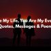 You Are My Everything Quotes